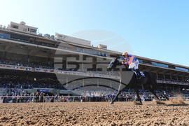 Breeders Cup Filly And Mare Sprint Horse Racing