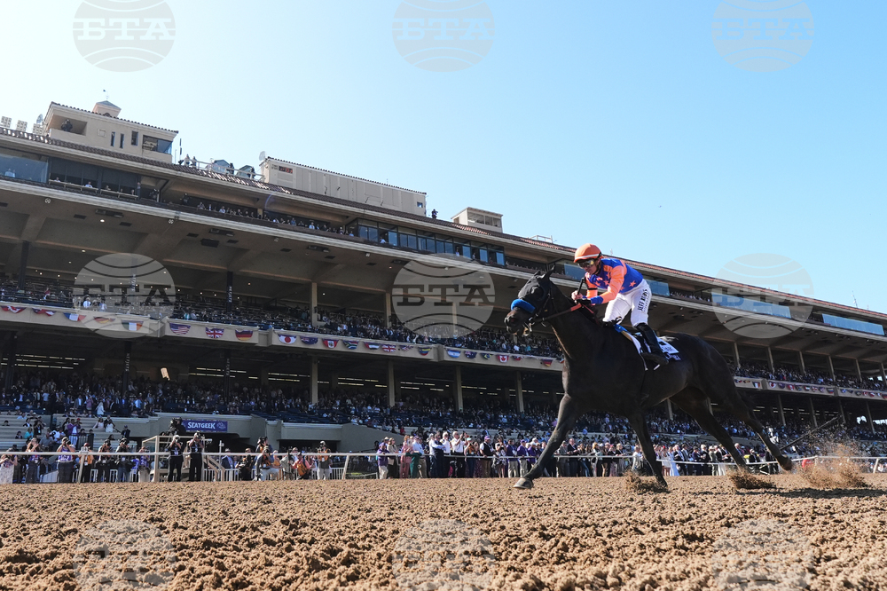 Breeders Cup Filly And Mare Sprint Horse Racing
