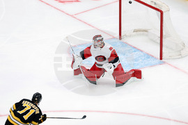 Hurricanes Bruins Hockey