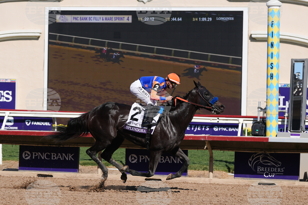 Breeders Cup Filly And Mare Sprint Horse Racing