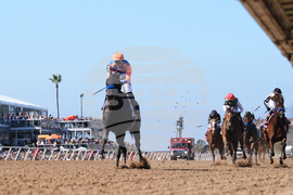 Breeders Cup Filly And Mare Sprint Horse Racing
