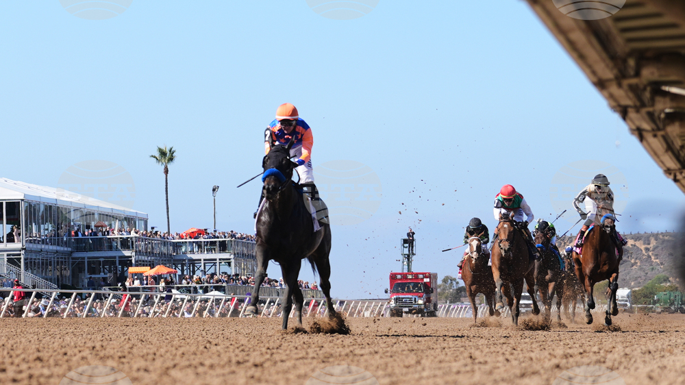 Breeders Cup Filly And Mare Sprint Horse Racing