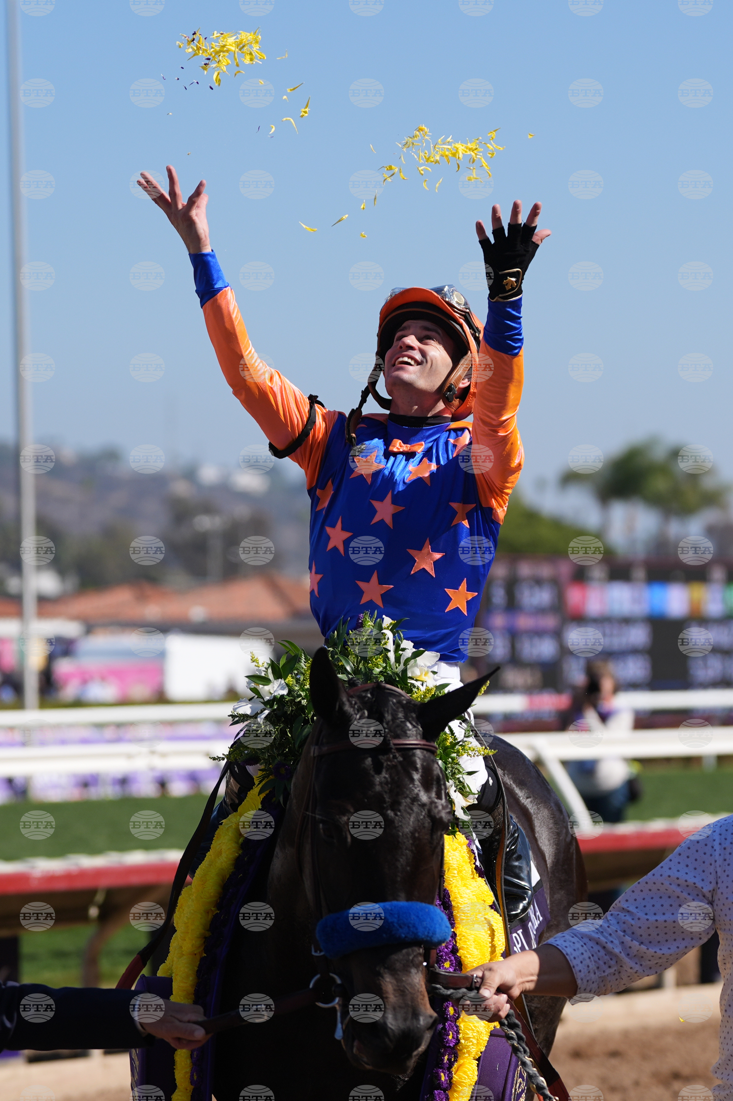 Breeders Cup Filly And Mare Sprint Horse Racing