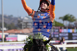 Breeders Cup Filly And Mare Sprint Horse Racing