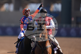 Breeders Cup Filly And Mare Sprint Horse Racing