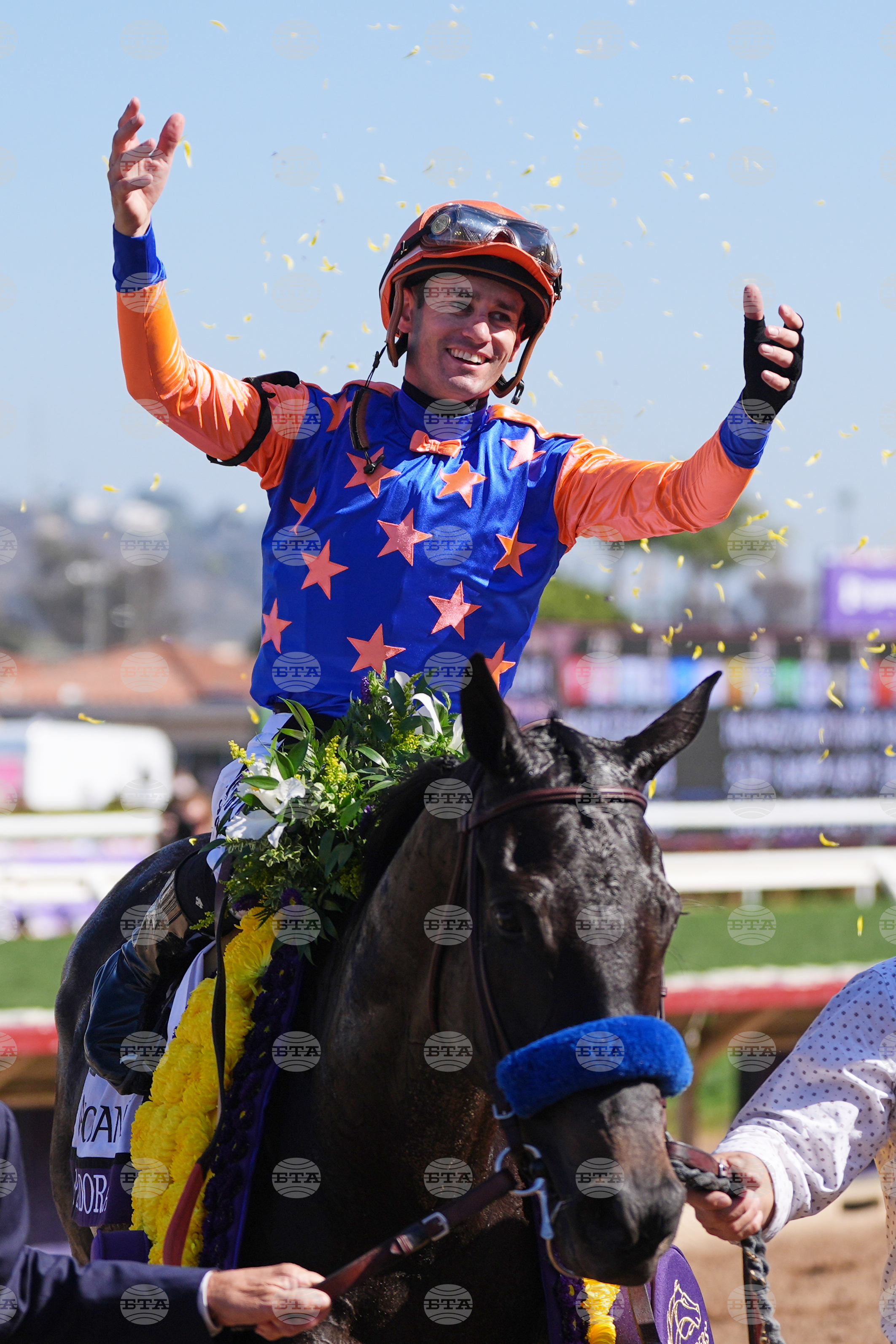 Breeders Cup Filly And Mare Sprint Horse Racing