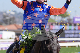 Breeders Cup Filly And Mare Sprint Horse Racing