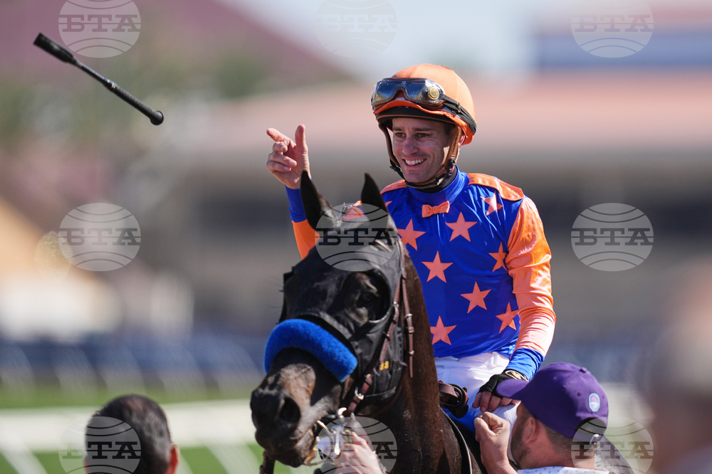 Breeders Cup Filly And Mare Sprint Horse Racing