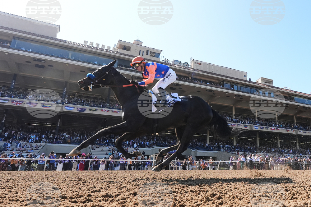 Breeders Cup Filly And Mare Sprint Horse Racing