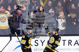 Hurricanes Bruins Hockey