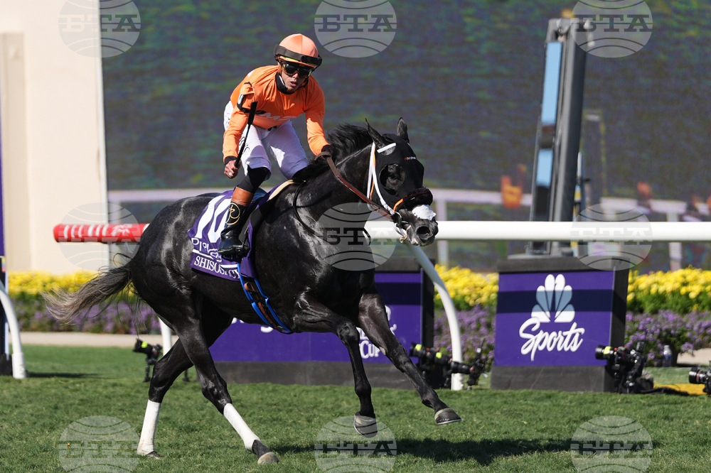 Breeders Cup Turf Sprint Horse Racing