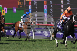Breeders Cup Turf Sprint Horse Racing