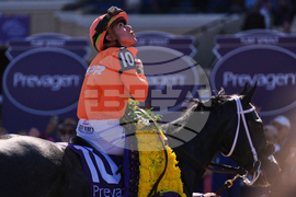 Breeders Cup Turf Sprint Horse Racing