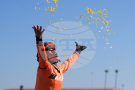 Breeders Cup Turf Sprint Horse Racing
