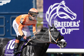 Breeders Cup Turf Sprint Horse Racing