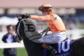 Breeders Cup Turf Sprint Horse Racing