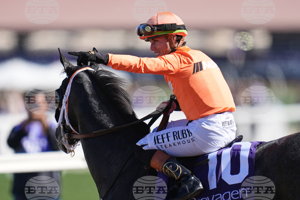 Breeders Cup Turf Sprint Horse Racing