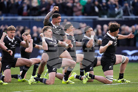 New Zealand Ireland Rugby