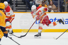 Flames Predators Hockey