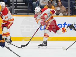 Flames Predators Hockey