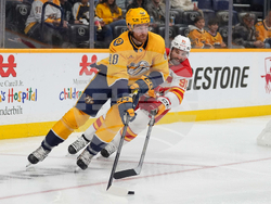 Flames Predators Hockey