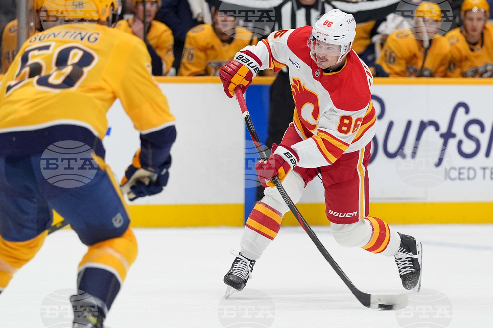 Flames Predators Hockey