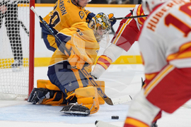 Flames Predators Hockey