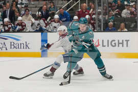 Avalanche Sharks Hockey
