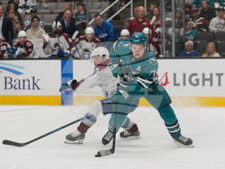 Avalanche Sharks Hockey