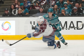 Avalanche Sharks Hockey
