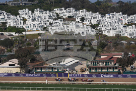 Breeders Cup Sprint Horse Racing