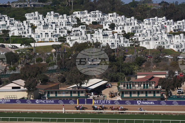 Breeders Cup Sprint Horse Racing