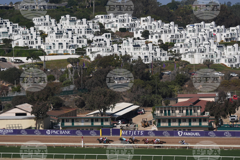 Breeders Cup Sprint Horse Racing