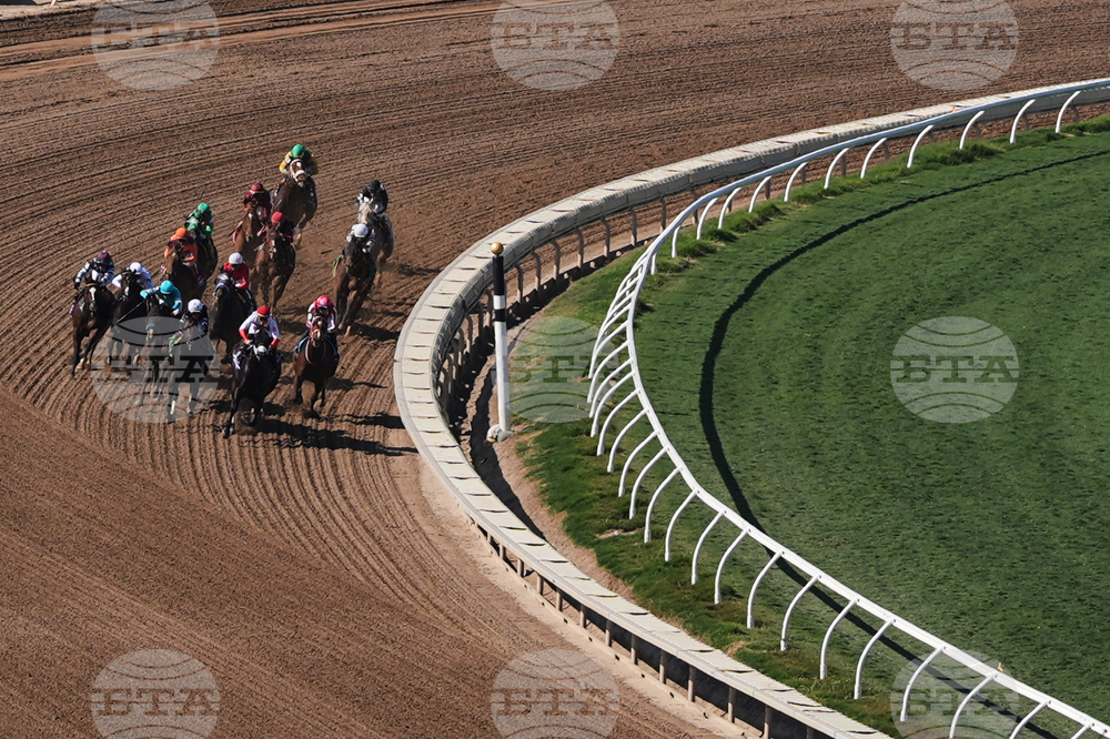 Breeders Cup Sprint Horse Racing