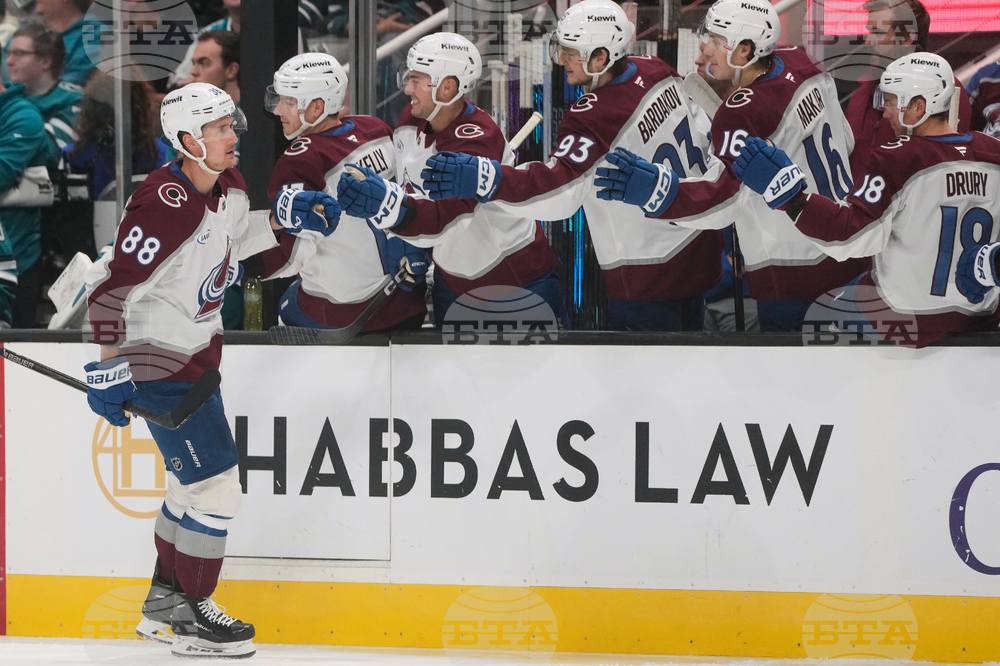 Avalanche Sharks Hockey