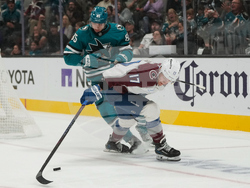 Avalanche Sharks Hockey