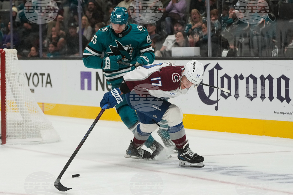 Avalanche Sharks Hockey