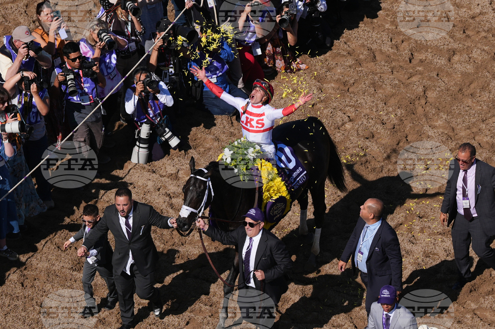 Breeders Cup Sprint Horse Racing