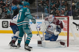 Avalanche Sharks Hockey