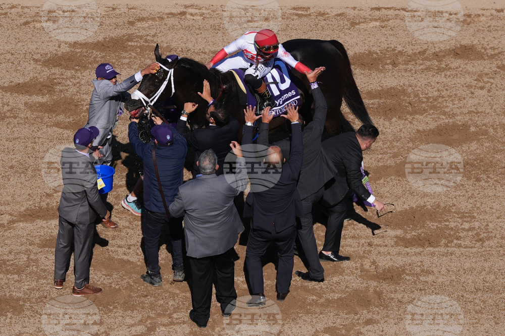 Breeders Cup Sprint Horse Racing