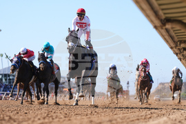 APTOPIX Breeders Cup Sprint Horse Racing