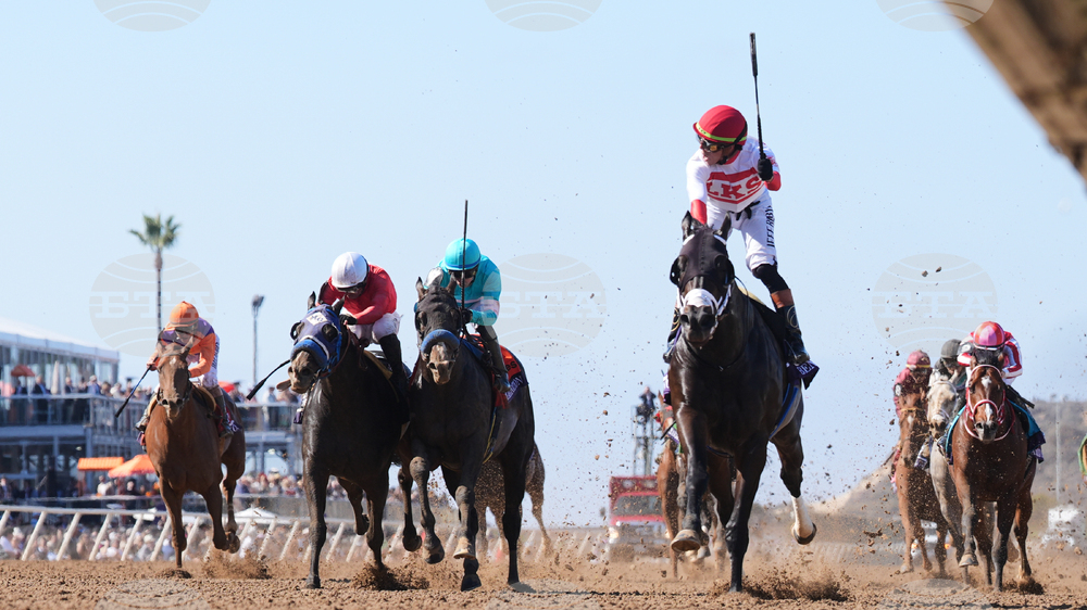 Breeders Cup Sprint Horse Racing