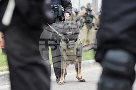 Federal Enforcement Chicago