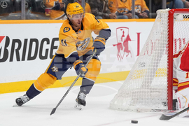 Flames Predators Hockey