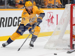 Flames Predators Hockey