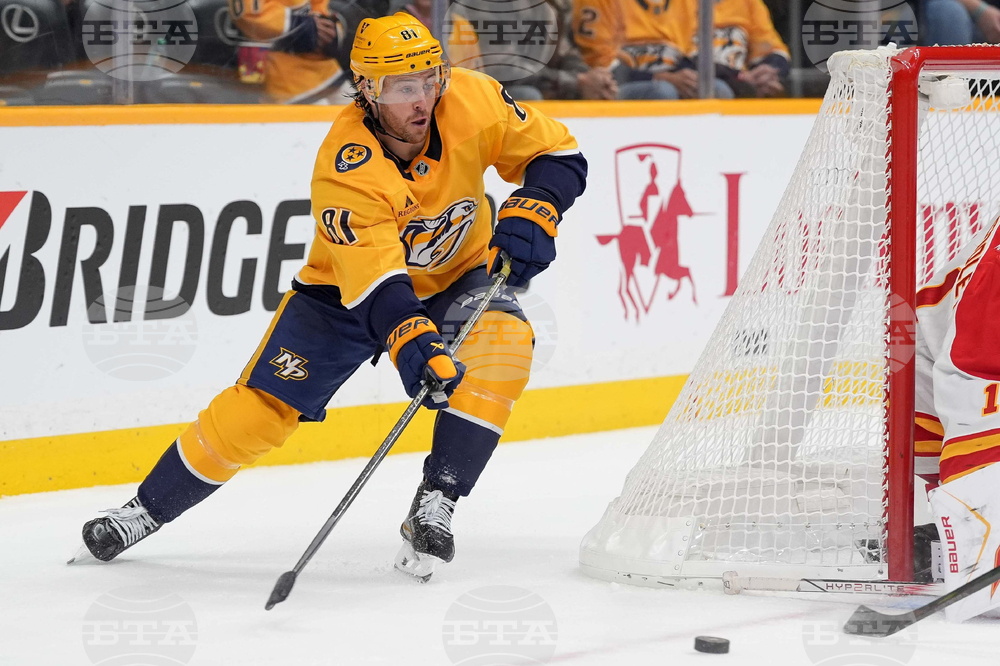 Flames Predators Hockey