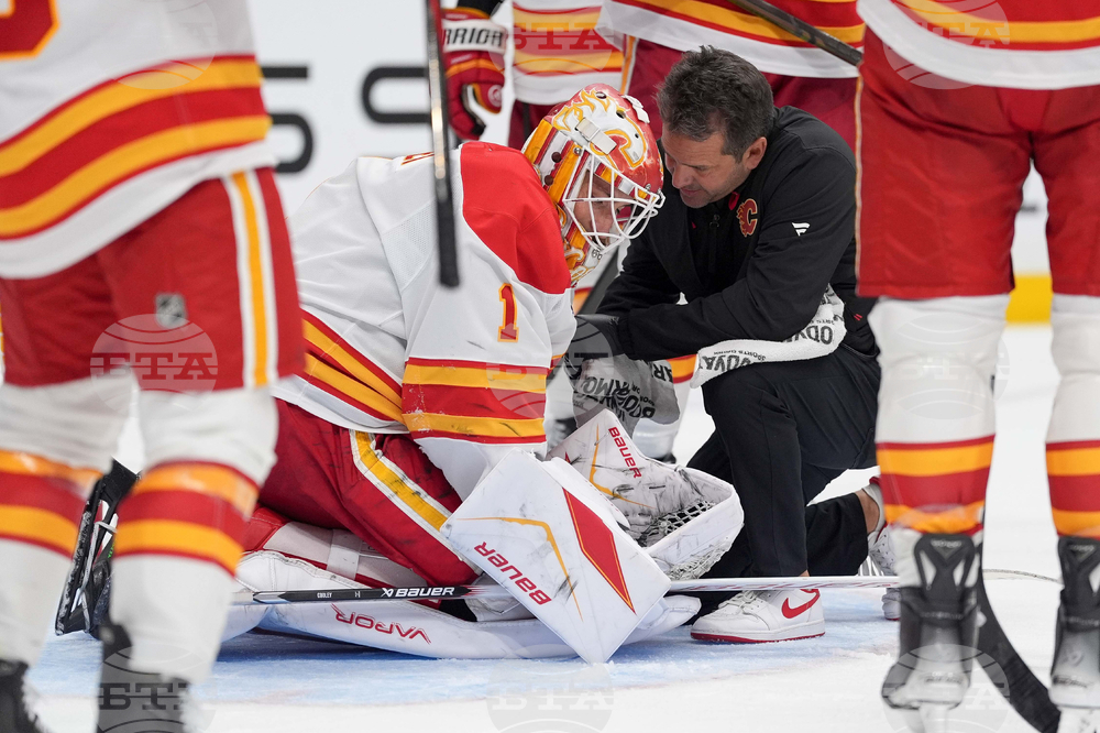 Flames Predators Hockey