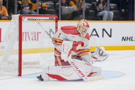 Flames Predators Hockey