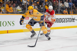 Flames Predators Hockey