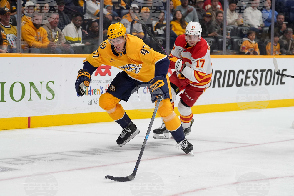 Flames Predators Hockey